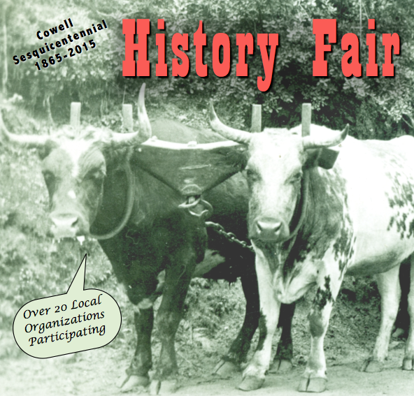 History Fair oxen